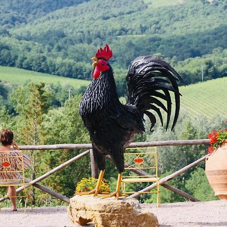 Agriturismo Borgo Il Bonagino Radda in Chianti Exteriör bild