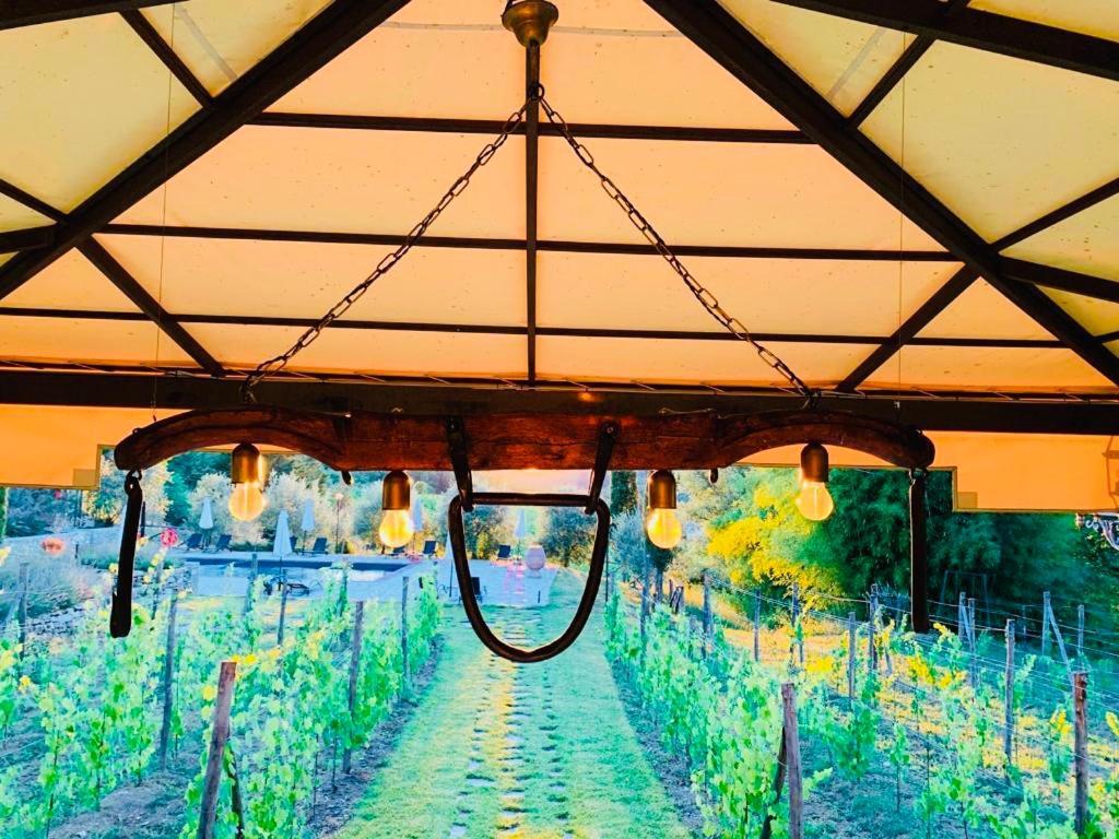 Agriturismo Borgo Il Bonagino Radda in Chianti Exteriör bild