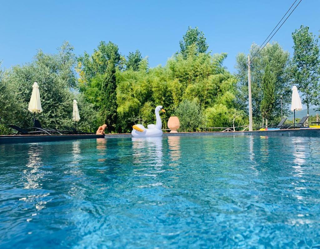 Agriturismo Borgo Il Bonagino Radda in Chianti Exteriör bild